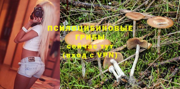 PSILOCYBIN Балабаново
