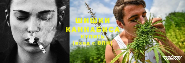 PSILOCYBIN Балабаново