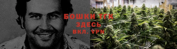 PSILOCYBIN Балабаново